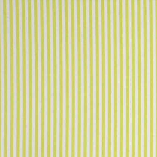 Candystripecitrus450.jpg