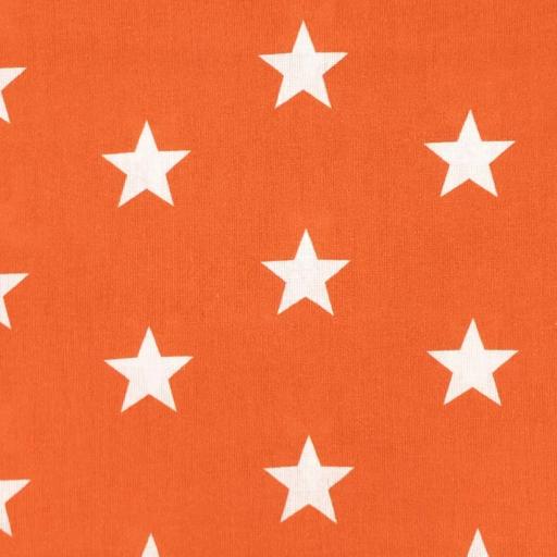 Large Star Orange