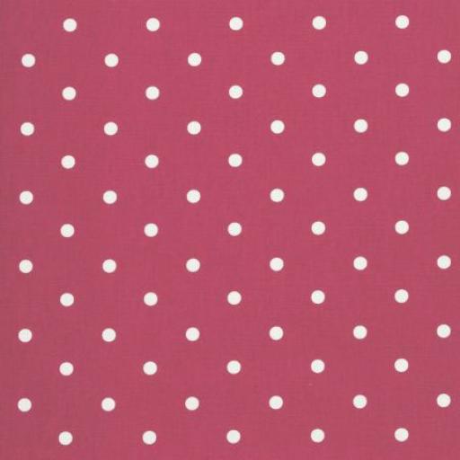 Spots Raspberry