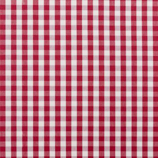 Gingham Raspberry