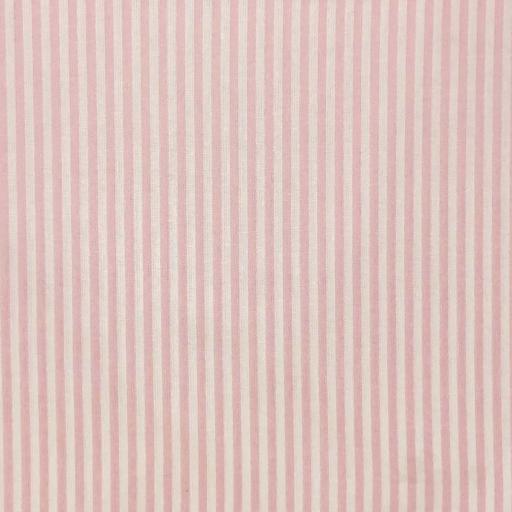 Mini Stripe Pink