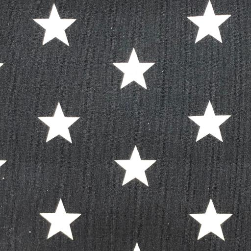 Large Star Navy