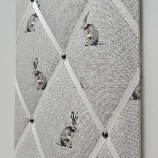Sitting Hares 2862 2.jpg