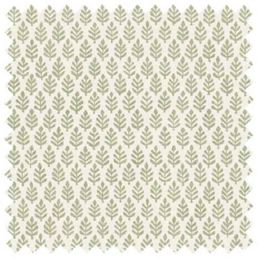 Leaves Sage.jpg