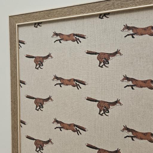 Foxes 4266 B.jpg